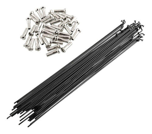 PAQUETE DE RAYOS 36PZ